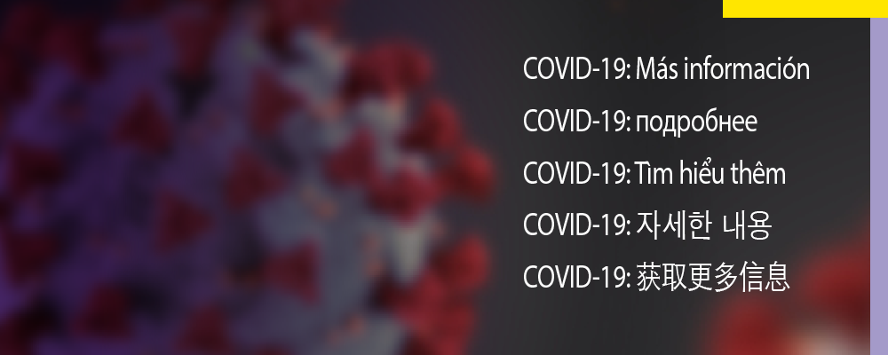 COVID-19 Updates in Spanish, <br /> Russian, Vietnamese, <br /> Korean and Chinese
